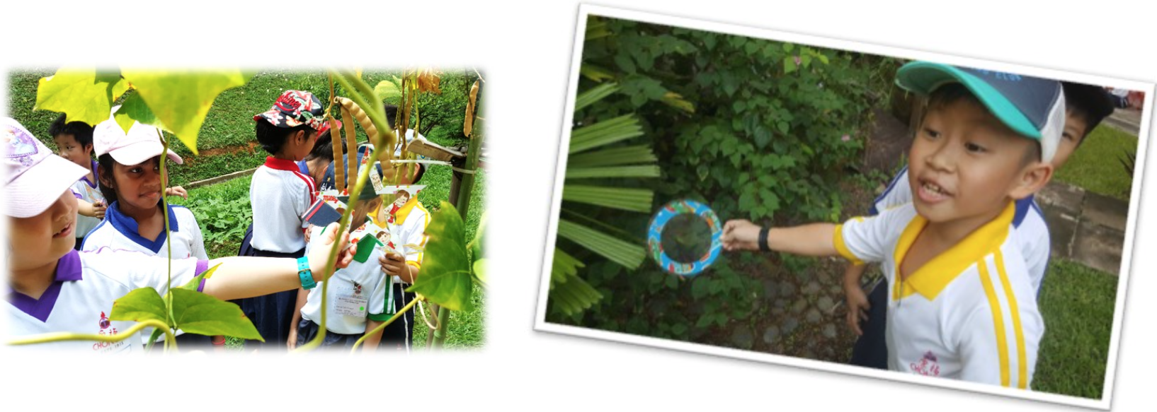 Young children in school uniforms explore plants outdoors; one boy holds a magnifying glass toward greenery.